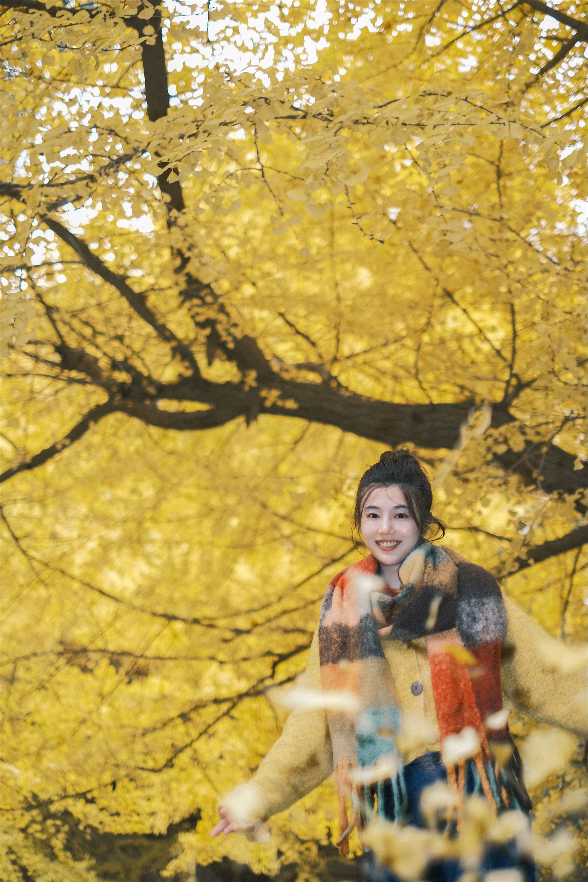 YITUYU艺图语 2025.01.26 窗边秋色 凡凡